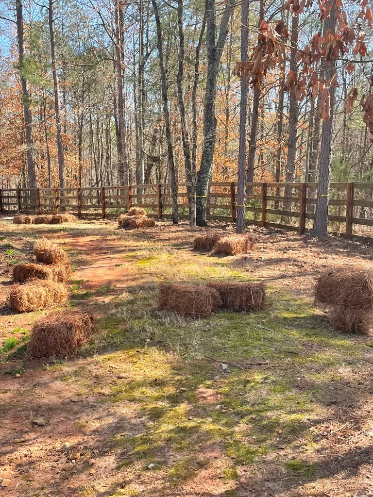 Leaf blowing and cleanup project photograph 2
